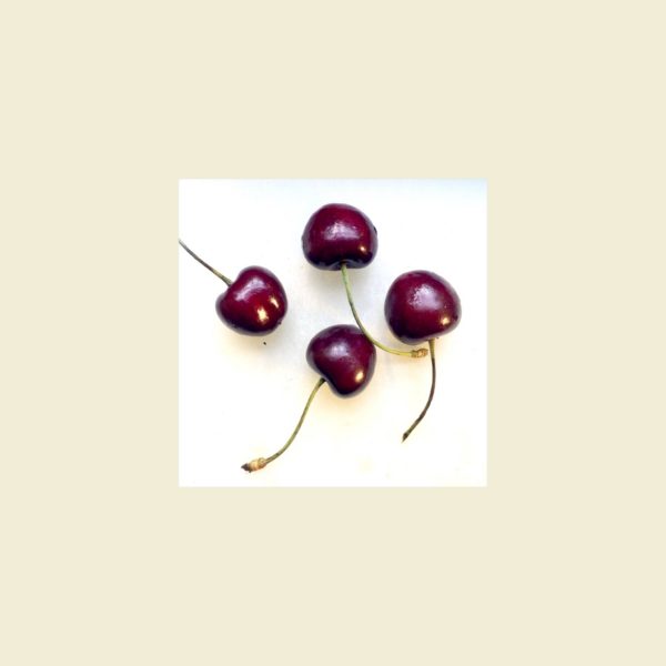 meat-moon-single-cover meat-moon-single-cover